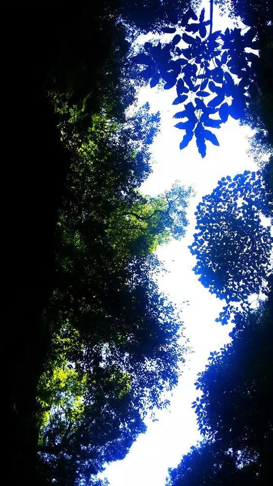 涨姿势?来图上什么动漫 女的叫了一声,阳台上下着雨,哭着紧紧抱住男的?听冷知识!